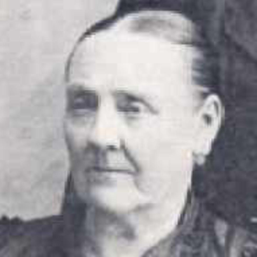 Ann Booth Bolton (1840 - 1905) Profile